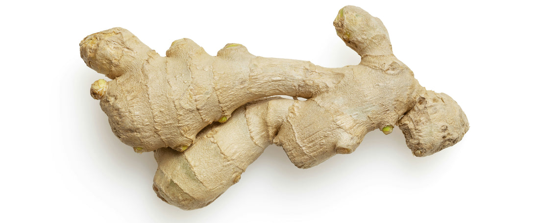 The Magic of Ginger: A Journey into the Benefits of Ginger and Ginger Beer